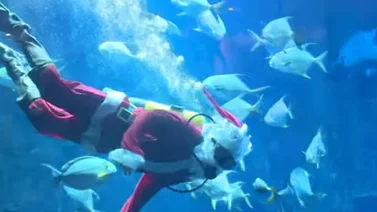 Papá Noel sorprendió a los niños y se sumergió en el acuario de París (+Video)