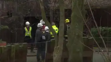 Muere animal en zoo de Londres en incendio y otros desaparecidos (+Video) Muere animal en zoo de Londres en incendio y otros desaparecidos (+Video)