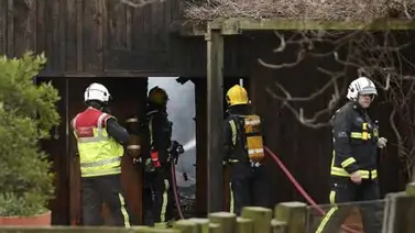 Ocho personas afectadas y un animal muerto por un incendio en zoo de Londres Ocho personas afectadas y un animal muerto por un incendio en zoo de Londres