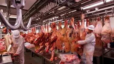 Colombia inicia exportación de carne bovina a Emiratos Árabes Colombia inicia exportación de carne bovina a Emiratos Árabes