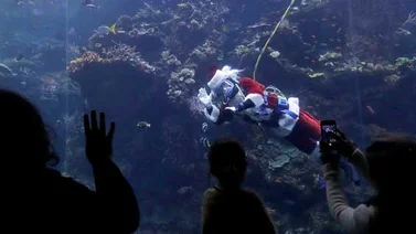 Santa Claus buzo divierte a los niños en San Francisco (+Fotos)