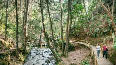 Científicos de todo el mundo evaluarán en Medellín estado de la biodiversidad