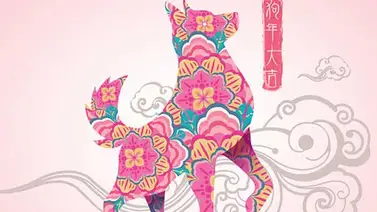 Descubre las predicciones para el 2018 con el horóscopo chino Descubre las predicciones para el 2018 con el horóscopo chino