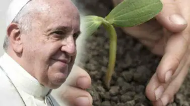 Educación y transformación cultural, claves para acatar encíclica ambiental Educación y transformación cultural, claves para acatar encíclica ambiental