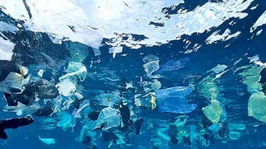 Desarrollan una máquina para limpiar la basura de los océanos (+Video)