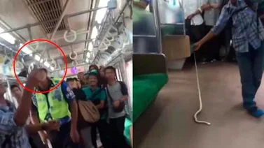 "Héroe" viral mata una serpiente con sus manos en un tren (+ Video)