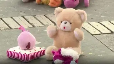 Peluches "alzan la voz" contra abuso sexual infantil en Colombia (+Video) Peluches "alzan la voz" contra abuso sexual infantil en Colombia (+Video)