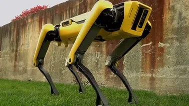 SpotMini es el perro robot que todos querrán tener en sus hogares (+Video)