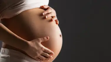 Colegio de Médicos autoriza el primer caso de vientre de alquiler en Portugal Colegio de Médicos autoriza el primer caso de vientre de alquiler en Portugal