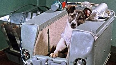 La perra Laika se convirtió en el primer ser vivo lanzado al espacio un día como hoy