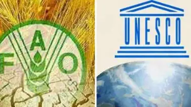 La FAO y la UNESCO crean una alianza para fortalecer la educación alimentaria La FAO y la UNESCO crean una alianza para fortalecer la educación alimentaria