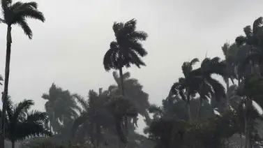 Tormenta tropical Ophelia podría convertirse en huracán Tormenta tropical Ophelia podría convertirse en huracán