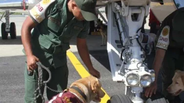 Hallan restos de droga en avión accidentado en Venezuela