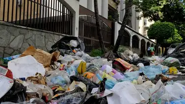 Montalbán: El nuevo santuario de las moscas (+Fotos) Montalbán: El nuevo santuario de las moscas (+Fotos)