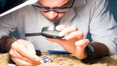 Museo de Ciencias inició proceso de descamisado en dos fósiles de tortugas milenarias Museo de Ciencias inició proceso de descamisado en dos fósiles de tortugas milenarias