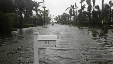 Irma se debilita a tormenta tropical Irma se debilita a tormenta tropical