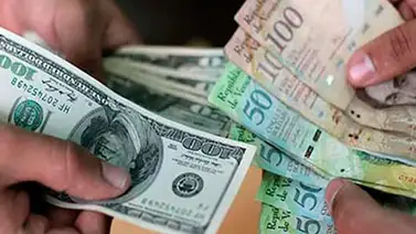 Liquidadas divisas de la décima quinta subasta del Dicom Liquidadas divisas de la décima quinta subasta del Dicom