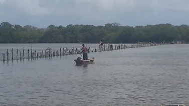 Actividad pesquera resultó afectada por un derrame de crudo en Puerto Píritu