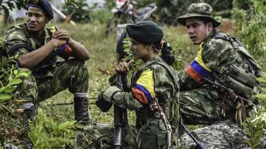 Al menos 10 menores de edad han decidido permanecer en campamentos de las FARC