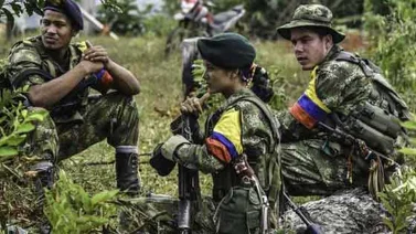Al menos 10 menores de edad han decidido permanecer en campamentos de las FARC