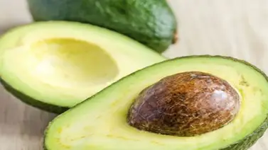 El hueso del aguacate ayuda a luchar contra enfermedades El hueso del aguacate ayuda a luchar contra enfermedades