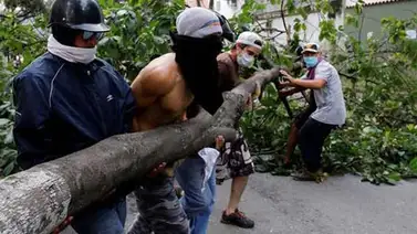 Ministerio Público investiga tala de 3.000 árboles durante las protestas en Venezuela Ministerio Público investiga tala de 3.000 árboles durante las protestas en Venezuela