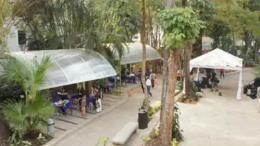 El Eje del buen vivir en Caracas se llenará de poesía juvenil este 20Ago El Eje del buen vivir en Caracas se llenará de poesía juvenil este 20Ago