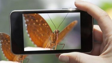 iNaturalist: una aplicación para los amantes de la naturaleza