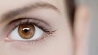 Descubren que hay un organismo que vive en el ojo humano Descubren que hay un organismo que vive en el ojo humano