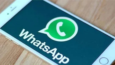 "Un wasap" y "wasapear", adaptaciones adecuadas al español