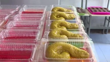 Pasteles con forma de "caca" de perro causan furor en Tailandia (+Video)