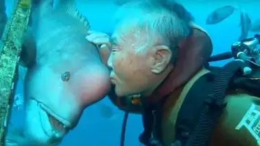 Un anciano japonés lleva más de 30 años visitando a un pez (+Video) Un anciano japonés lleva más de 30 años visitando a un pez (+Video)