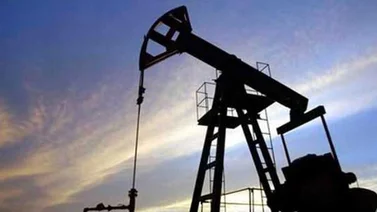 Cesta Opep cerró el lunes en 49,67 dólares
