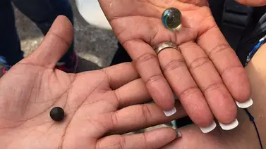 Alcalde Smolansky denunció que GNB dispara metras contra manifestantes Alcalde Smolansky denunció que GNB dispara metras contra manifestantes