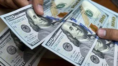 Primera subasta del Dicom cerró este viernes con 18.055 posturas
