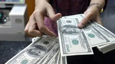 Lo que debe hacer si desea participar en la primera subasta Dicom