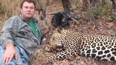 Cazador muere tras ser pisoteado por elefante en Zimbabue
