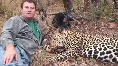 Cazador muere tras ser pisoteado por elefante en Zimbabue Cazador muere tras ser pisoteado por elefante en Zimbabue