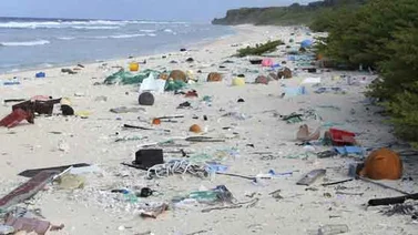 Hallan toneladas de basura en isla deshabitada del Pacífico
