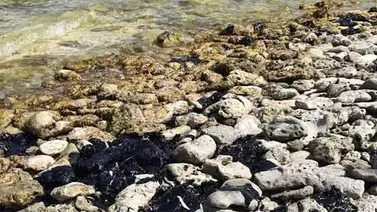 Crudo derramado por Trinidad y Tobago llega a Los Roques, dice ONG venezolana Crudo derramado por Trinidad y Tobago llega a Los Roques, dice ONG venezolana