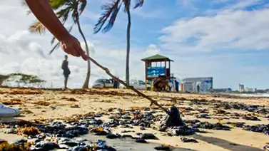 Playas de Sucre y Nueva Esparta afectadas por derrame petrolero en Trinidad y Tobago Playas de Sucre y Nueva Esparta afectadas por derrame petrolero en Trinidad y Tobago