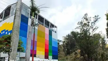 Gimnasios verticales están al pelo (+Fotos) Gimnasios verticales están al pelo (+Fotos)