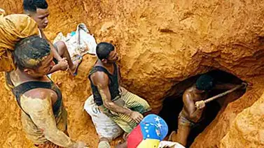 7 hombres se convertirán en reos por sacar oro del Estado Bolívar sin permiso 7 hombres se convertirán en reos por sacar oro del Estado Bolívar sin permiso