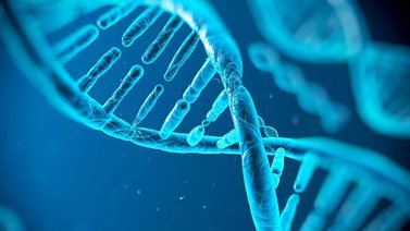 Descubren cómo son las estructuras del ADN en bacterias diminutas