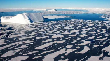 Hallan extraño mensaje en aguas heladas de Islandia (+Foto)
