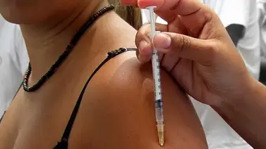 Confirman la primera muerte por fiebre amarilla en estado de Río de Janeiro Confirman la primera muerte por fiebre amarilla en estado de Río de Janeiro