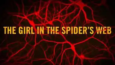 Cineasta uruguayo dirigirá "The Girl In The Spider’s Web", de la saga Millennium Cineasta uruguayo dirigirá "The Girl In The Spider’s Web", de la saga Millennium