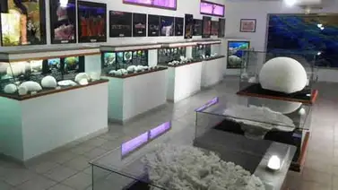 El Museo Marino de Margarita cierra por falta de presupuesto El Museo Marino de Margarita cierra por falta de presupuesto