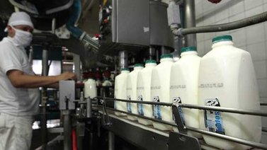 Empresas lecheras operan a medias