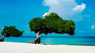 Aruba entre las mejores playas del mundo Aruba entre las mejores playas del mundo